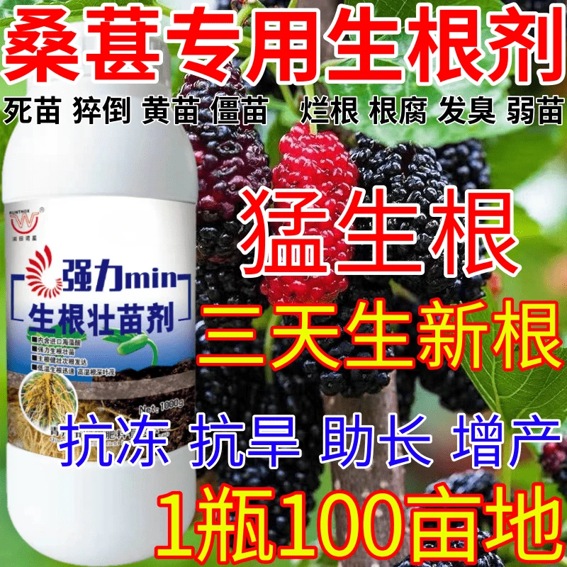 桑葚专用生根剂生根粉生根壮苗剂速效生根液大树移栽植苗木扦插月