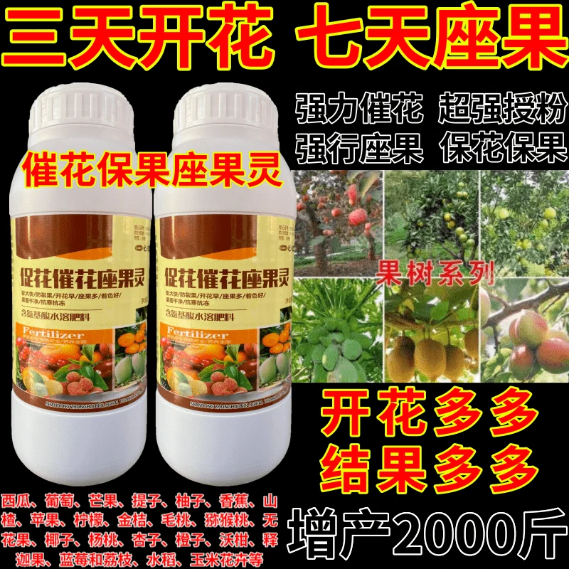 三天开花七天座果催花促花催花座果灵果树授粉瓜果蔬菜保花保果叶