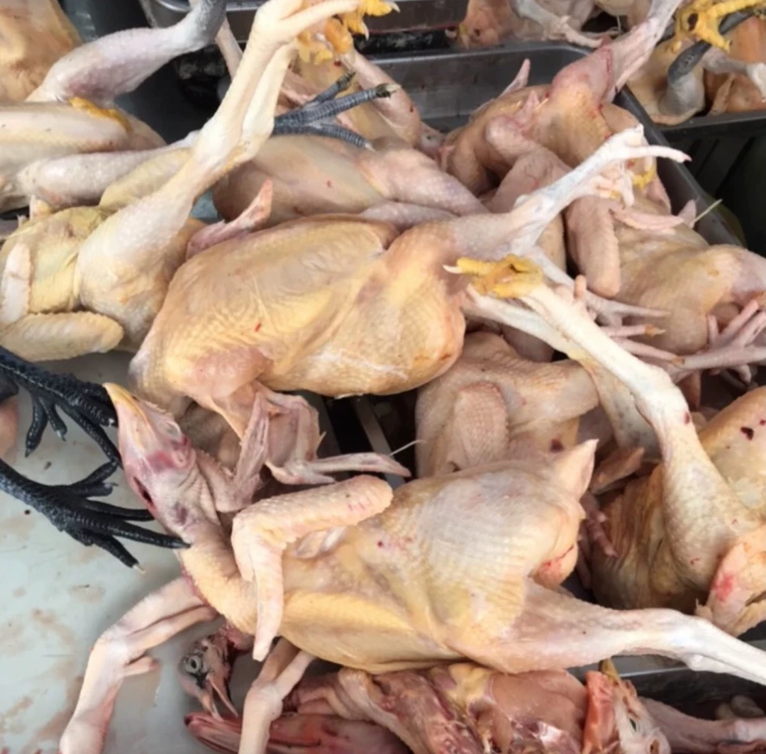 杀好土鸡.半只（默认切块）约650克