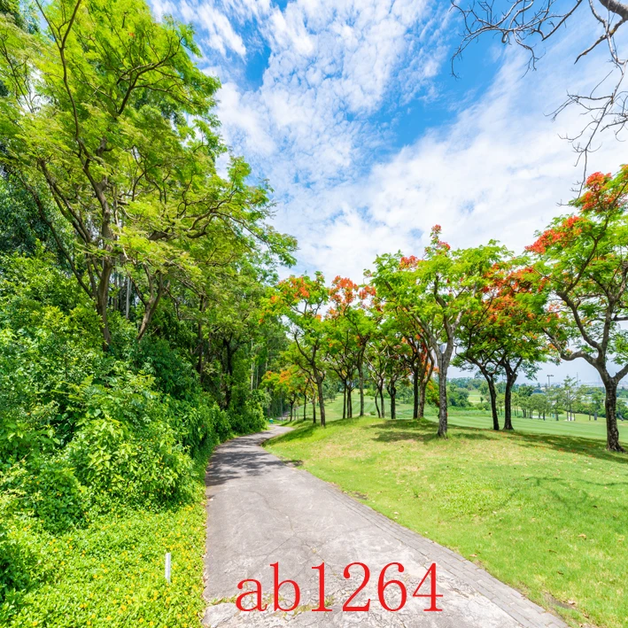 网红农村背景布外景风景破房子土房子直播主播外景户外3d装饰背景