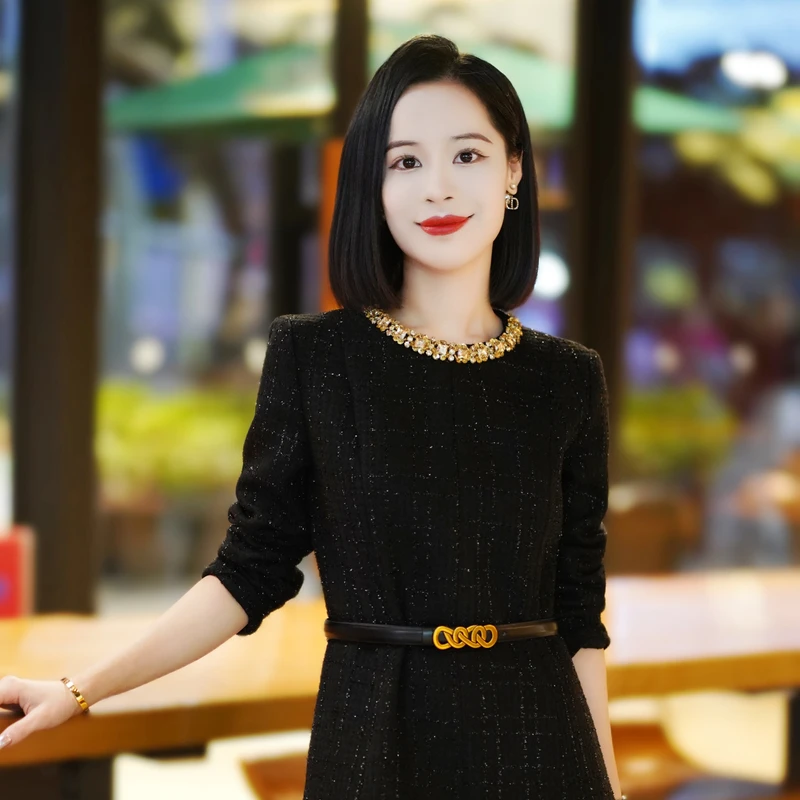 罗美拉 高级感气质品味精致优雅圆领钉钻显瘦连衣裙#741