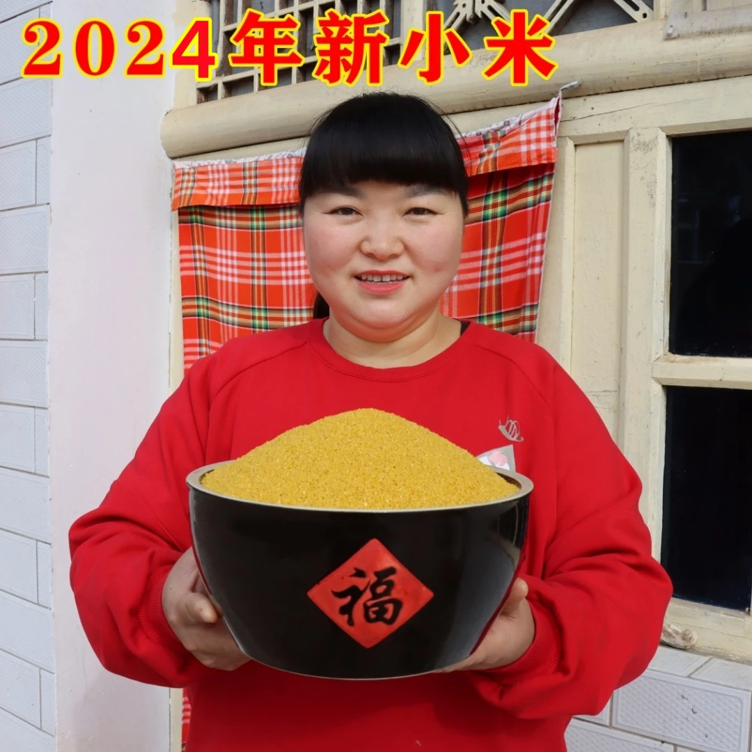 （霞姐情）新收2024年陕北高山农家黄小米，月子米2.5斤装（包邮）