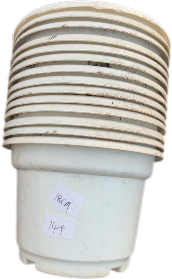 塑料旧花盆 厚一点的白圆盆18口径13高（30个）