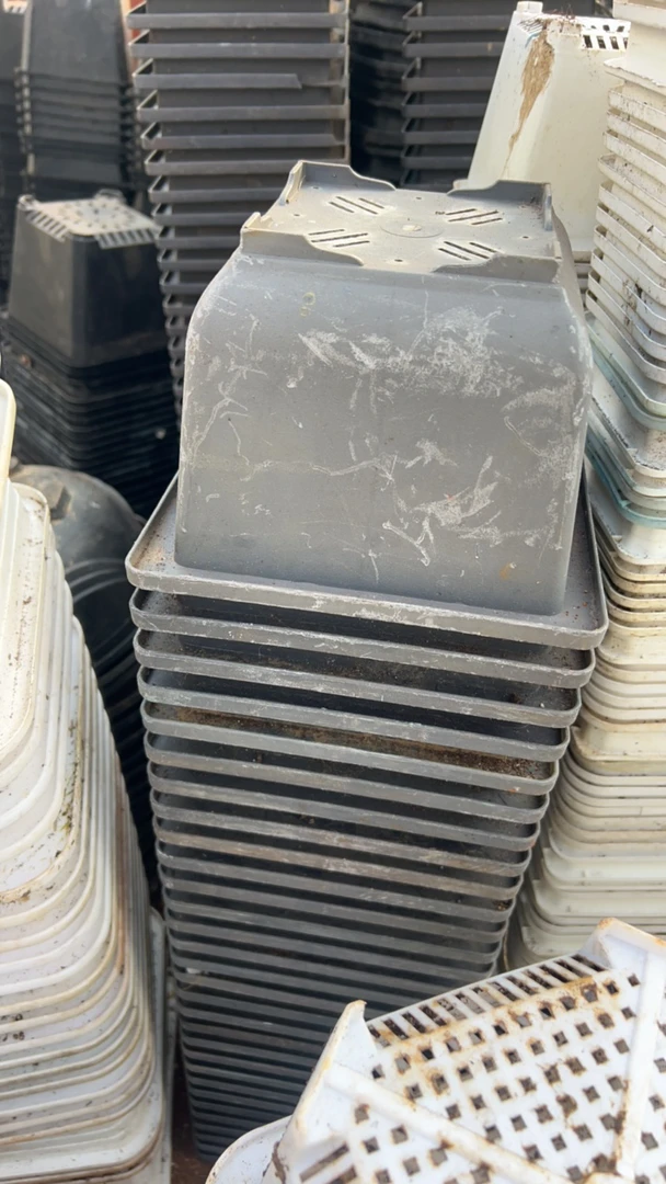 塑料旧花盆  口径17cm盆景盆（5个）