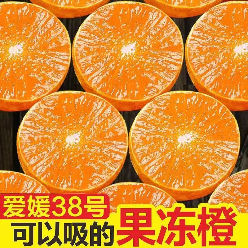 四川眉山爱媛38号果冻橙  皮薄多汁  新鲜水果原产地直发细腻爆汁