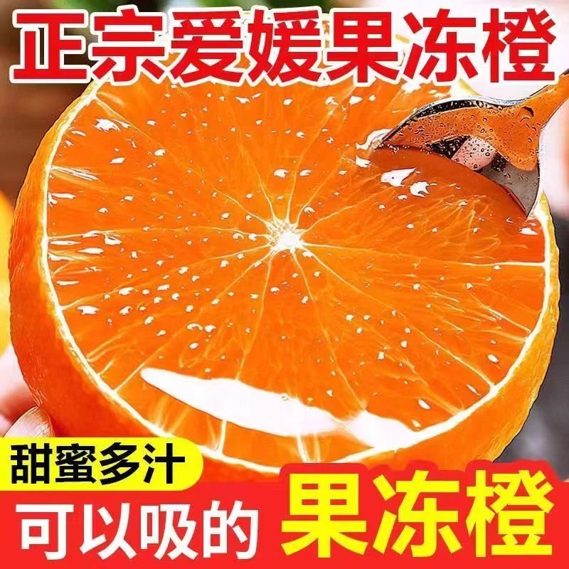 正宗四川眉山  爱媛38号果冻橙 原产地新鲜新采摘现货发售5-8斤装