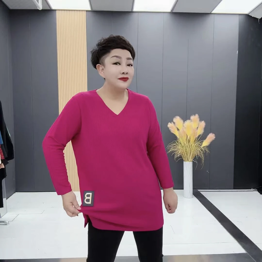 BB2318时尚V领套头字母贴标百搭长袖秋冬休闲上衣