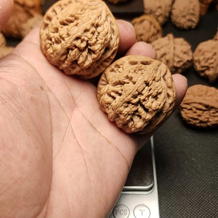 【闪购商品】文玩核桃把件李****子