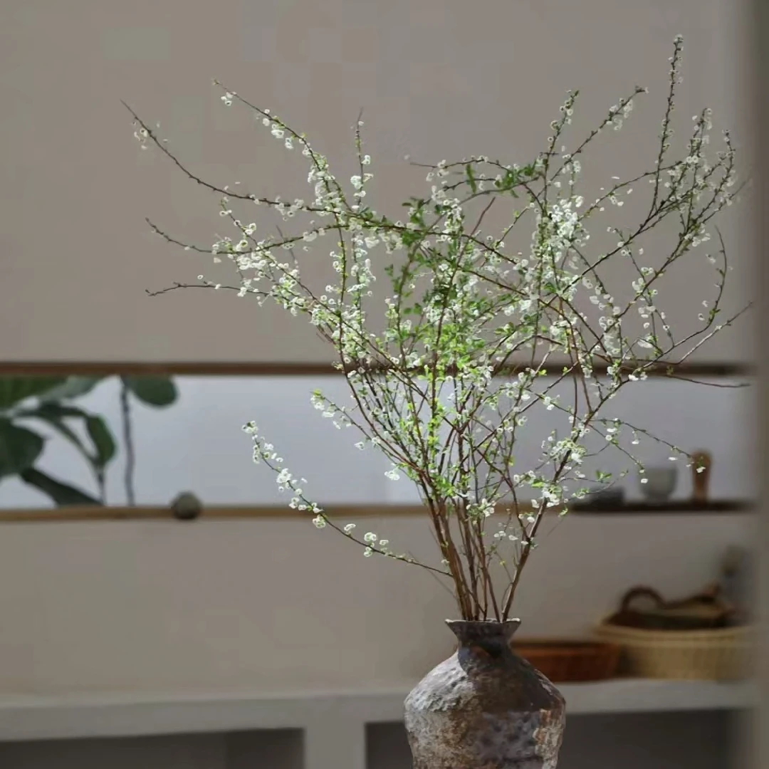 (雪柳）冬季专属爆花机器 雪柳花1米 买1把送1把 到手2把 一单包邮