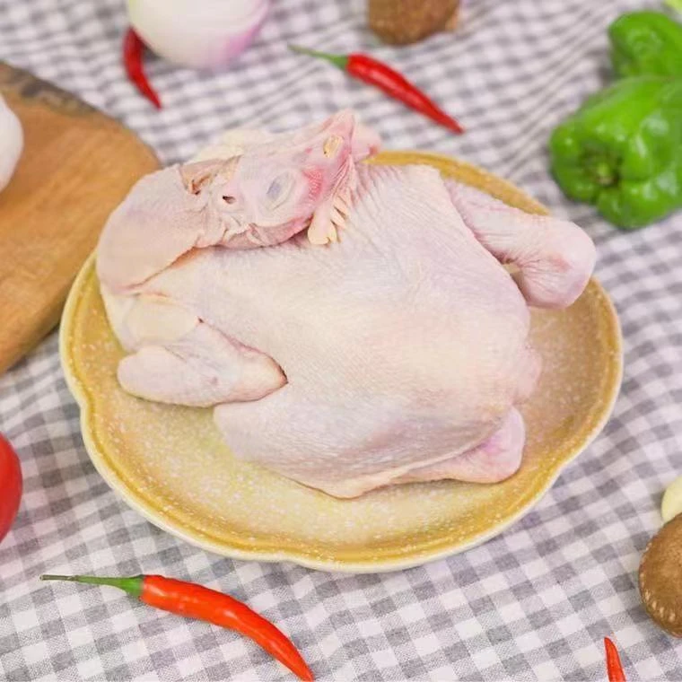 农村散养溜达小鸡