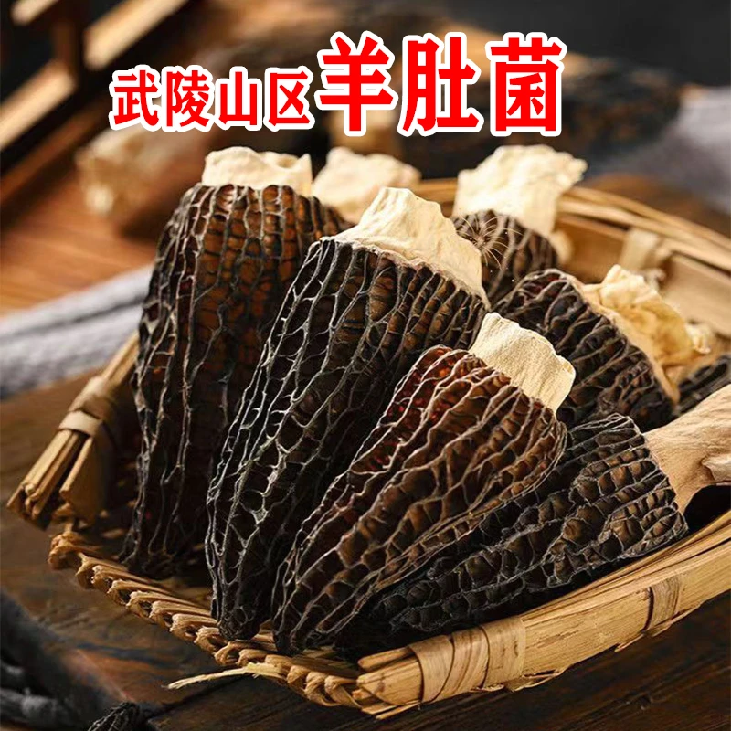 羊肚菌重庆武陵山区特产干羊肚菌野生羊肚菌头茬干货松茸菌汤包