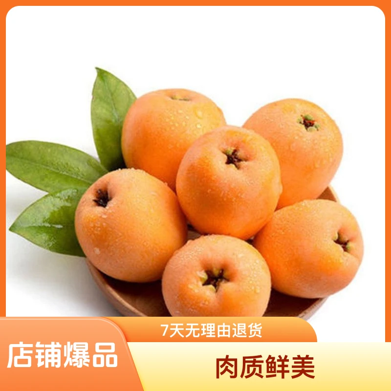 云南蒙自枇杷果蜜桔新鲜果味汁水品质采摘肉质尝鲜小孩水果