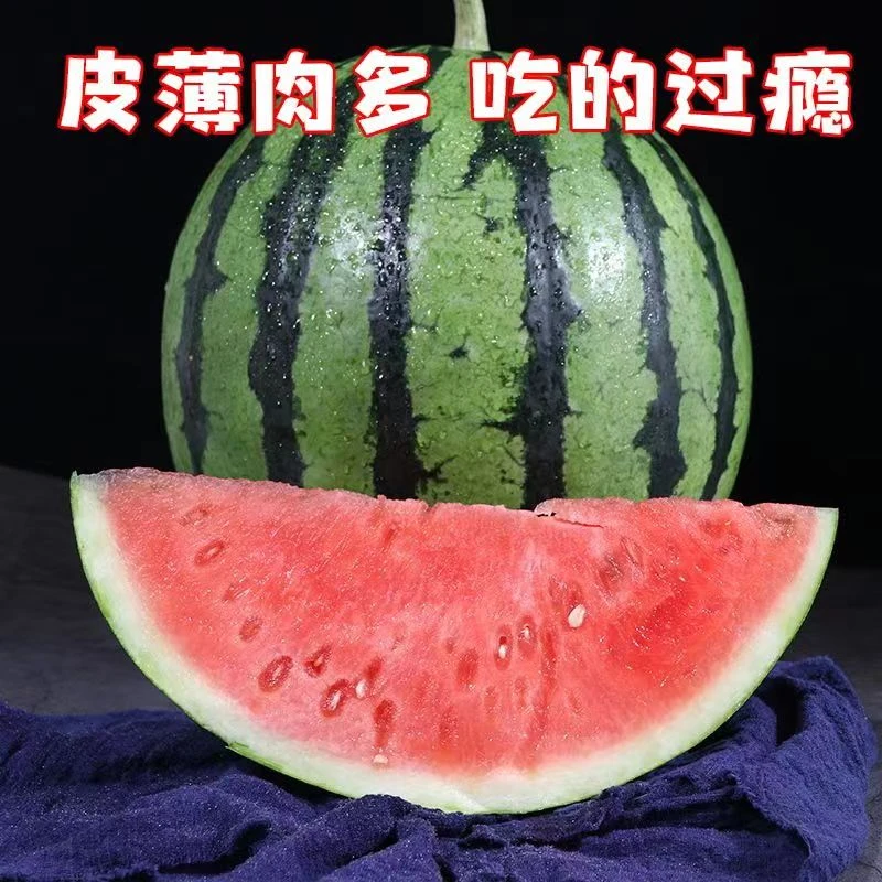 5-10斤正宗麒麟西瓜薄皮西瓜新鲜水果应季当季超甜多汁整箱装包邮
