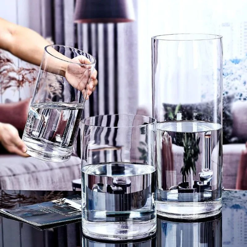 简约马醉木水养大号玻璃透明花瓶摆件客厅插花ins风宽口网红水培