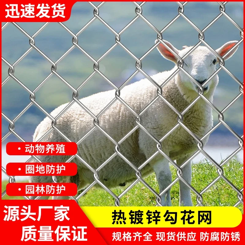 镀锌勾花网养殖网家用铁丝网围栏网家禽鱼塘牛羊护栏网果园防护网
