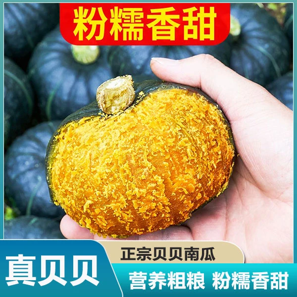 推荐正宗贝贝南瓜鲜板栗味新栗日本老瓜婴儿辅食孕妇粉糯自提香甜