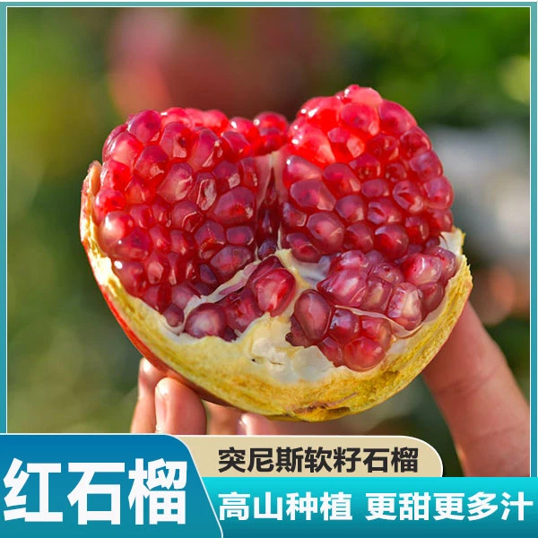 24新鲜现摘软籽石榴新鲜水果当季整箱包邮突尼斯9石榴大果现货