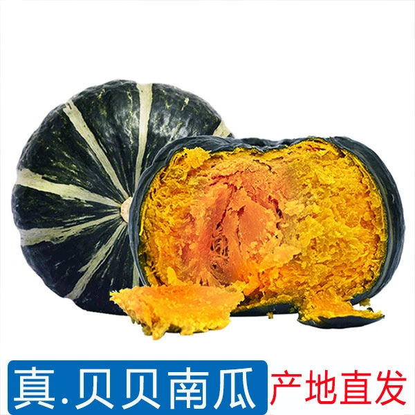 云南贝贝南瓜口味香甜婴儿孕妇辅食正宗产地南瓜成熟直销板栗
