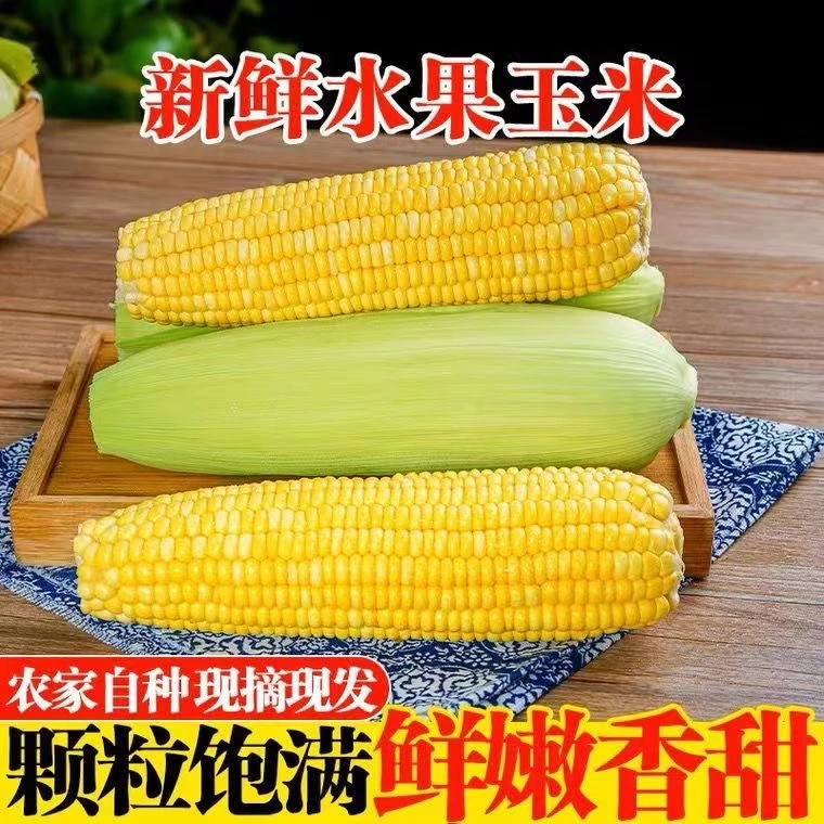 云南甜糯玉米粘苞米非转基因////支新鲜现摘带皮包装代餐