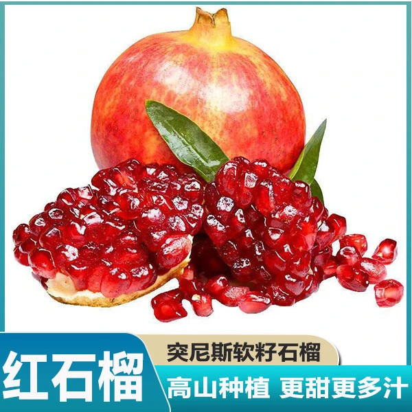 【现摘现发】四川突尼斯软籽石榴新鲜时令甜水果整箱包邮大果中秋