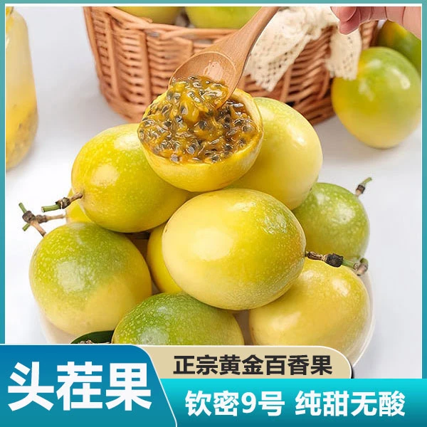 钦密9号黄金百香果蜂蜜甜度高水果广西南宁黄色百香果产地直发
