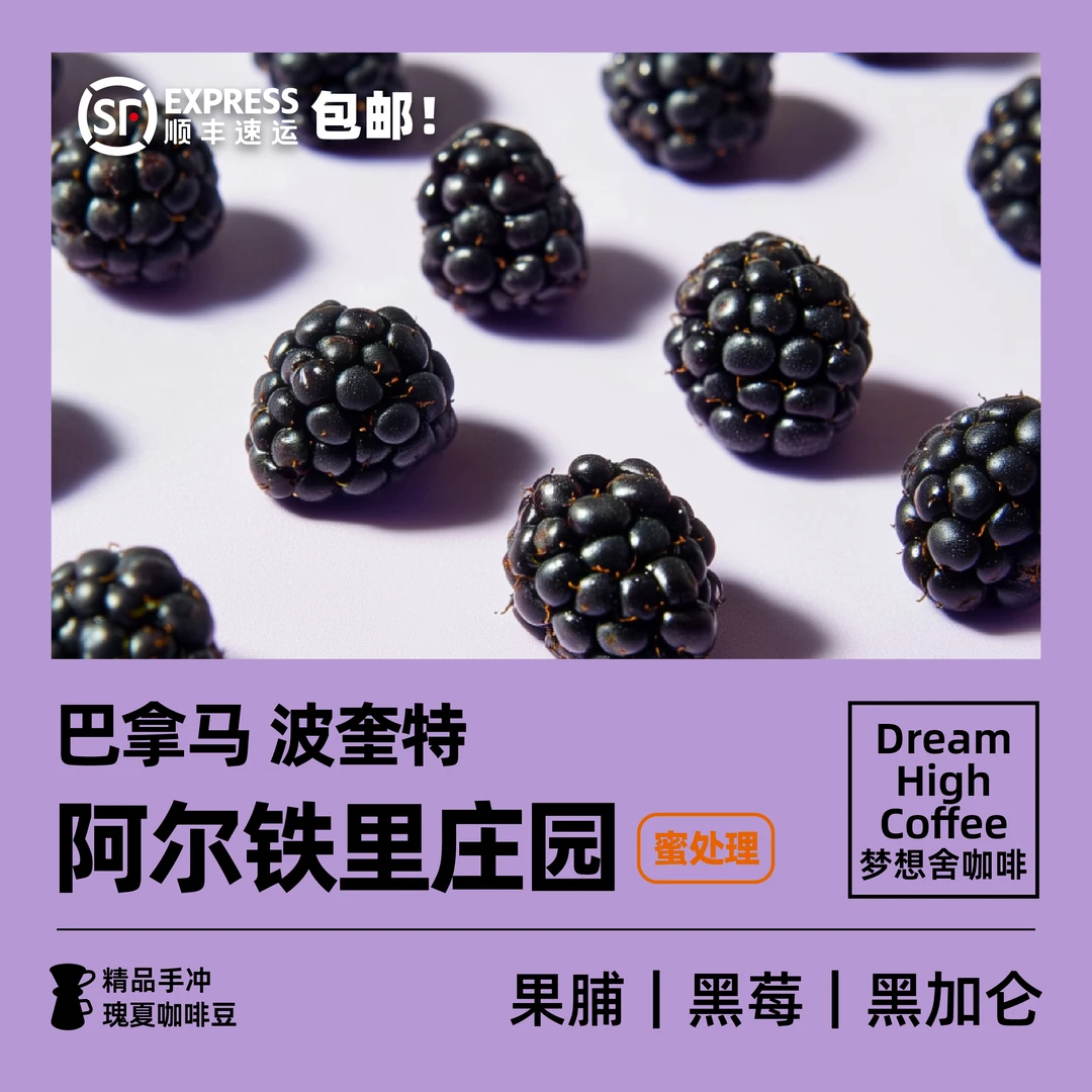 梦想舍巴拿马波奎特阿尔铁里庄园蜜处理浅烘焙手冲精品咖啡豆120g