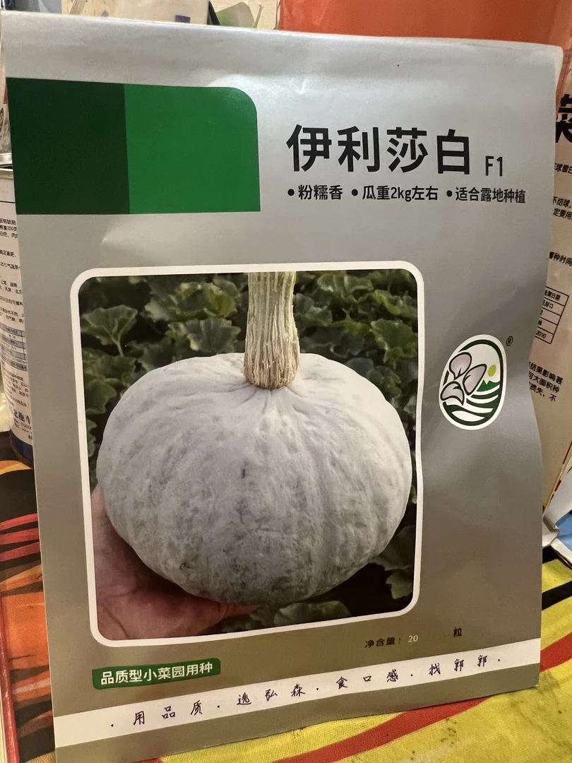 伊丽莎白南瓜种子