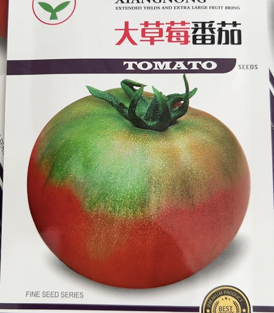 甜酸大果草莓柿子种子
