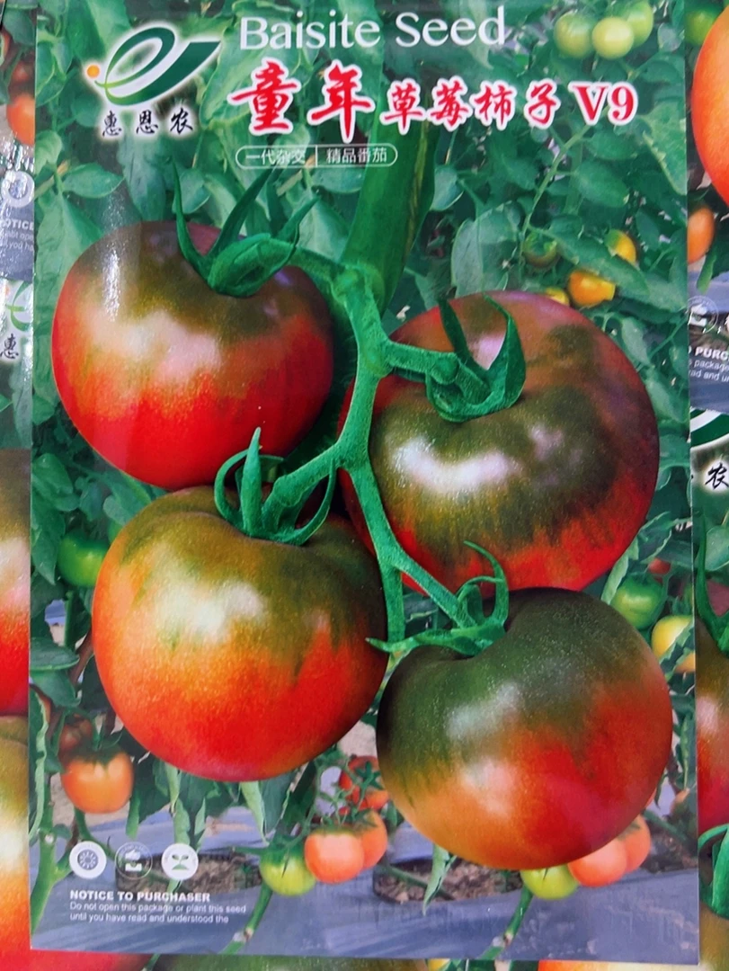 V9杂交水果草莓番茄种子