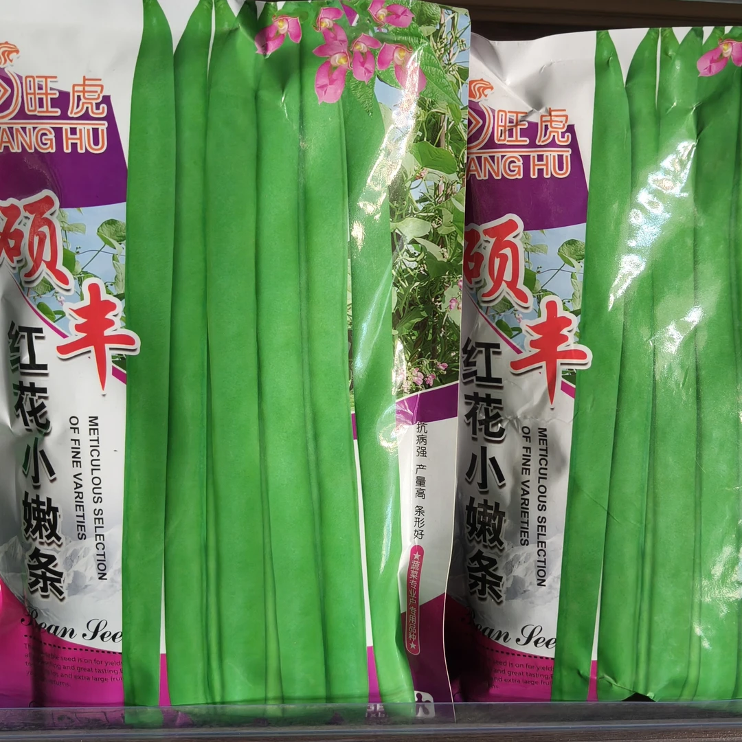 硕丰红花小嫩条（小金豆种子嫩直长）