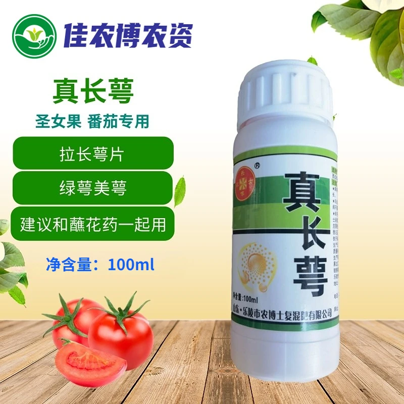 真长萼 番茄西红柿圣女果专用绿萼展萼灵拉长萼片美萼点花肥