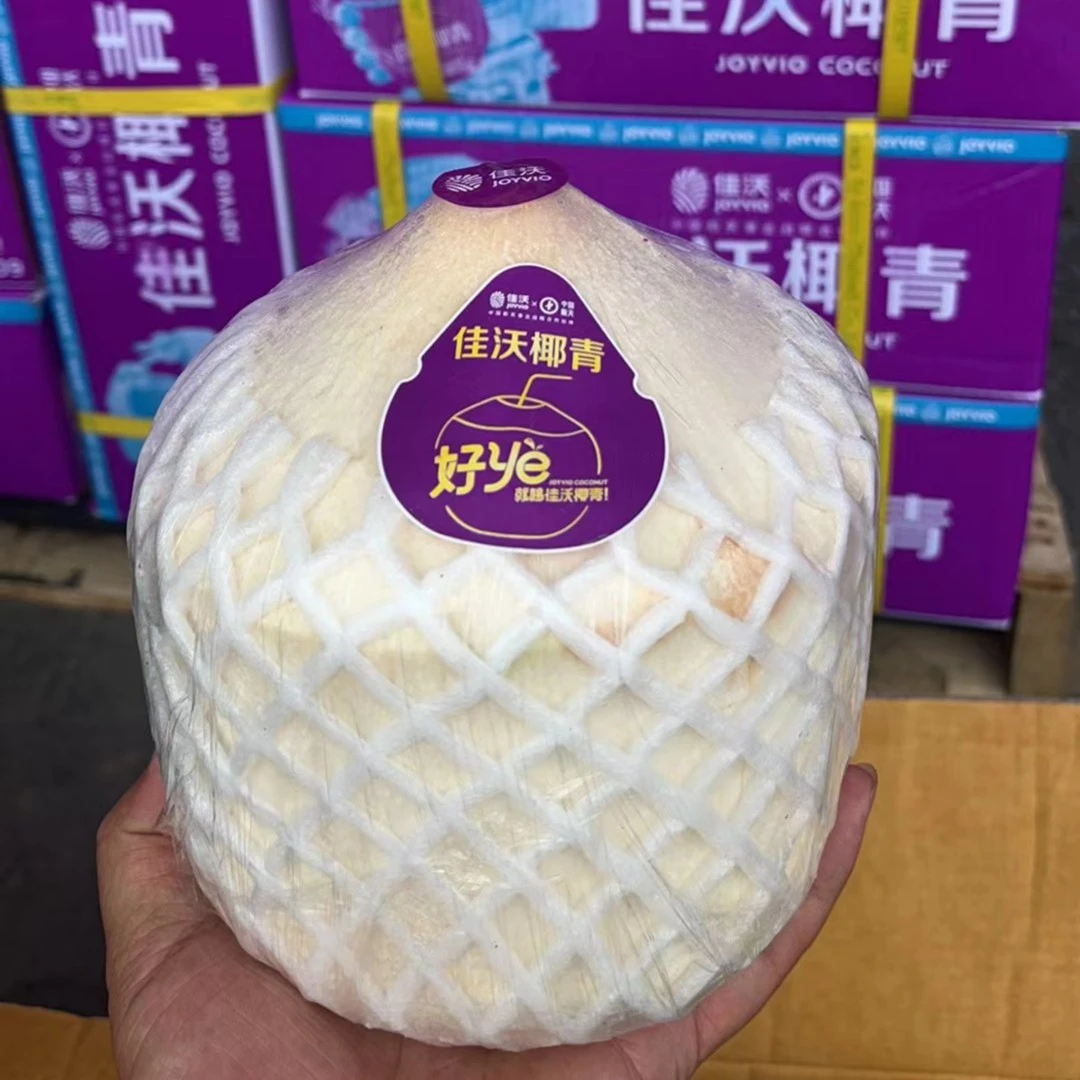 佳沃泰国椰青/1个