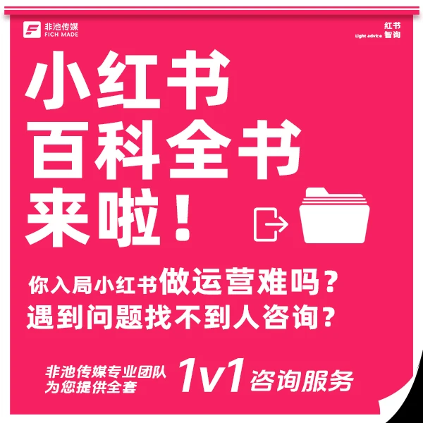 小红书运营全链路深度咨询服务-非池智询