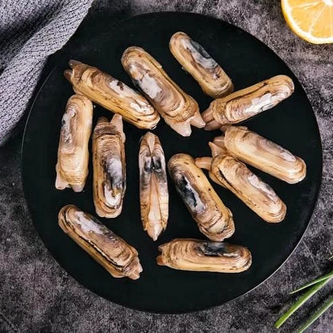 鲜活蛏子480g-500g/份 满2百包邮合肥市区当日达其余次日达