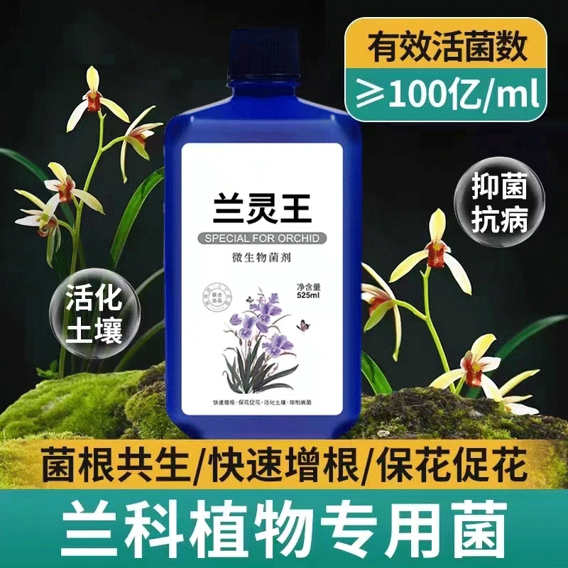 爆根长芽兰灵王兰花专用营养液家用花肥君子兰蝴蝶兰石斛花专用肥