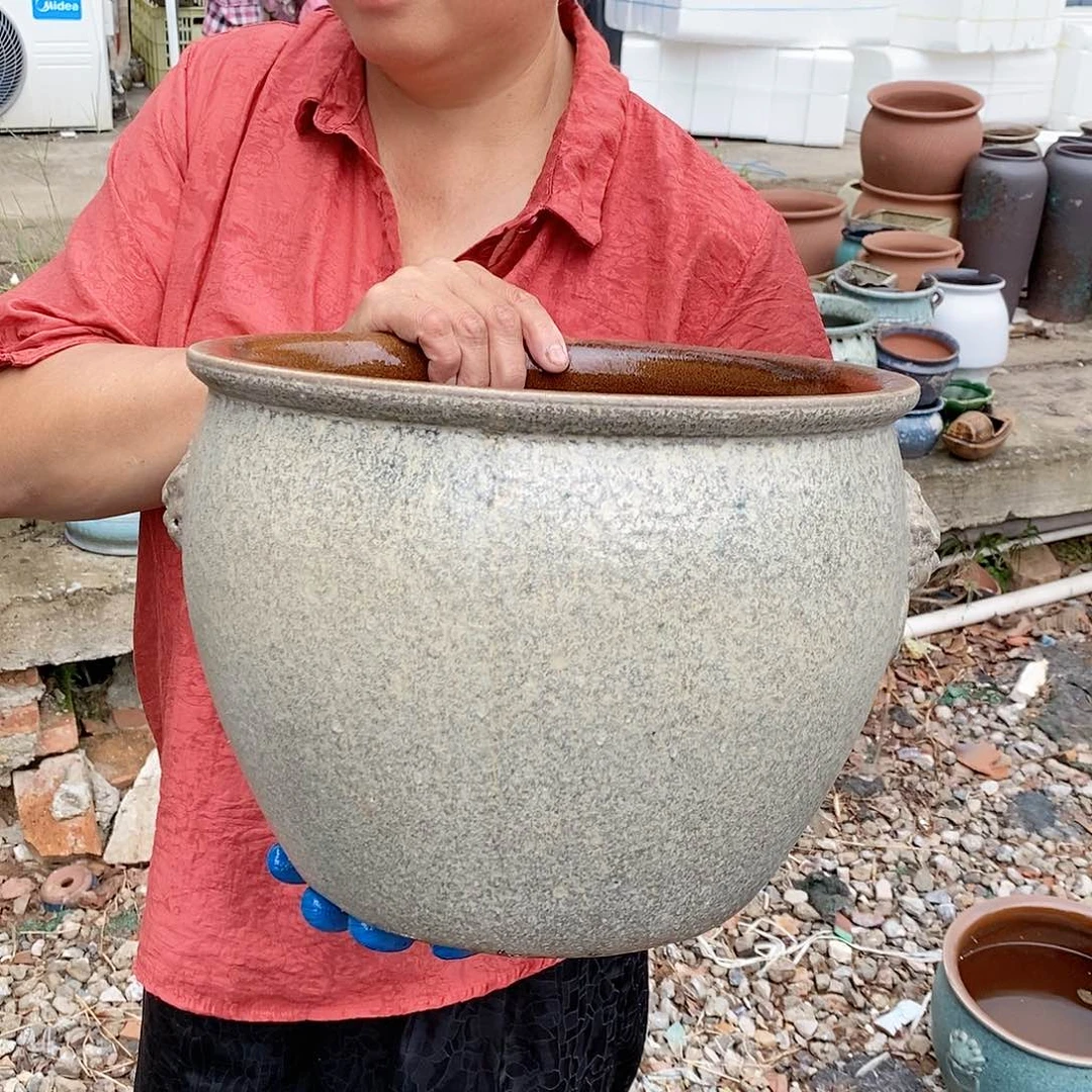 红陶20CM（含）-50CM（不含）口28高22水培