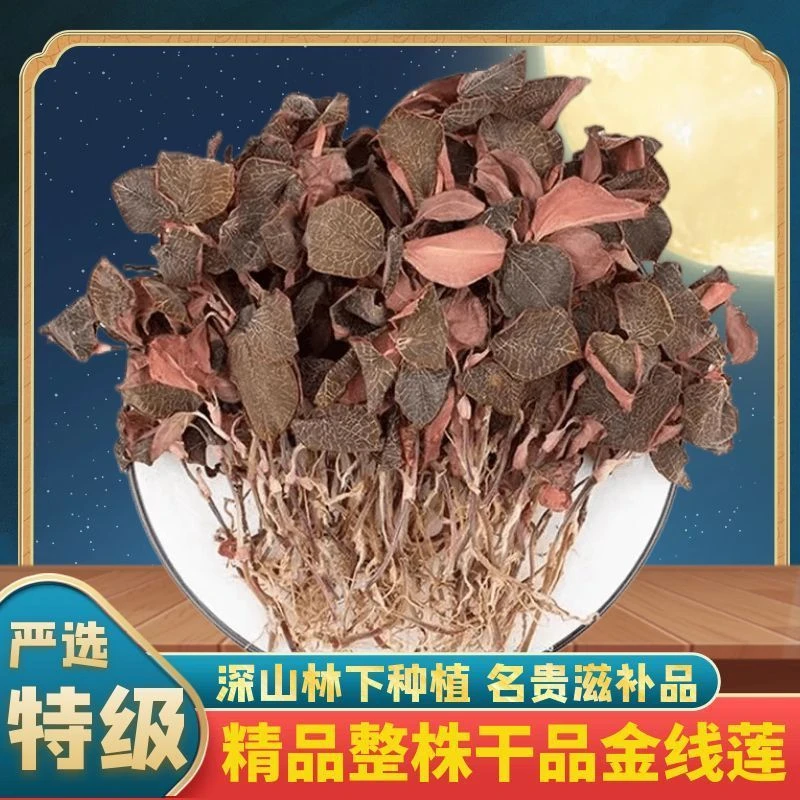 正宗金线莲福建南靖土楼林下原生态种植新鲜烘干整株干品礼盒装