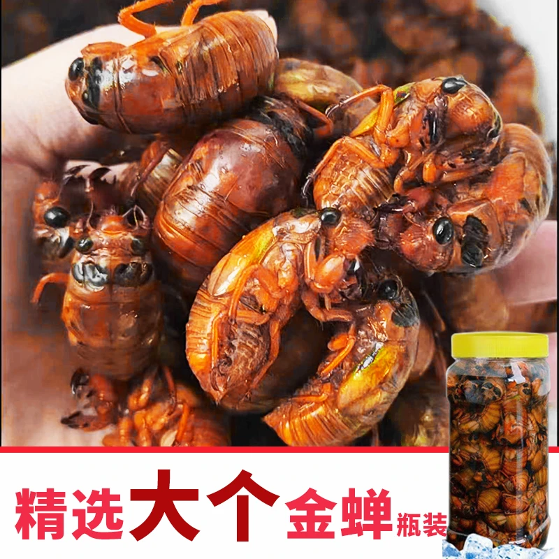 2025新鲜蝉蛹蚕蛹山东特产爬叉猴速冻知了龟唐僧肉