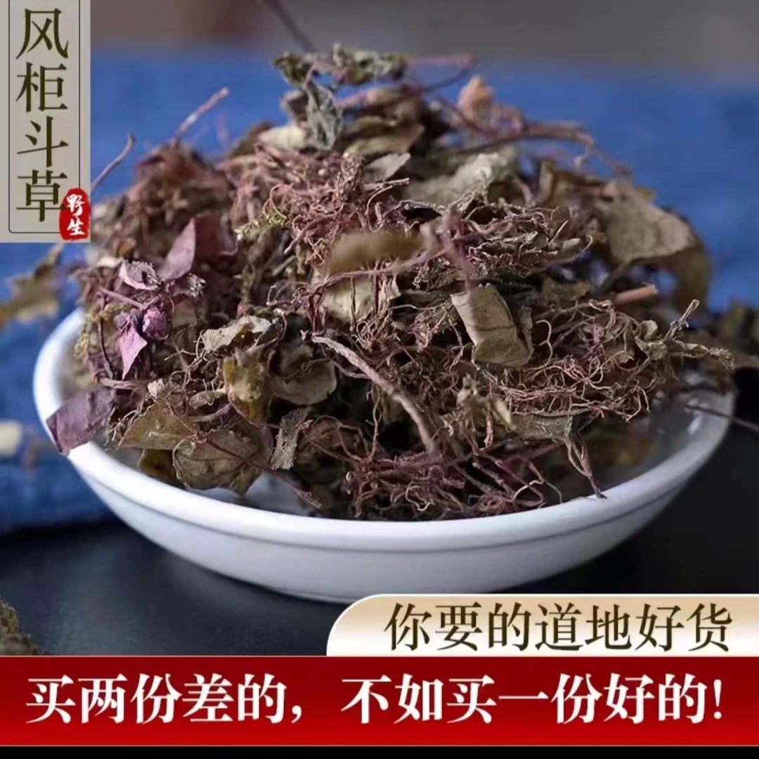 大山小敏(风·柜·斗·草)干品风柜斗草风鼓草楮头红深山天然采摘茶