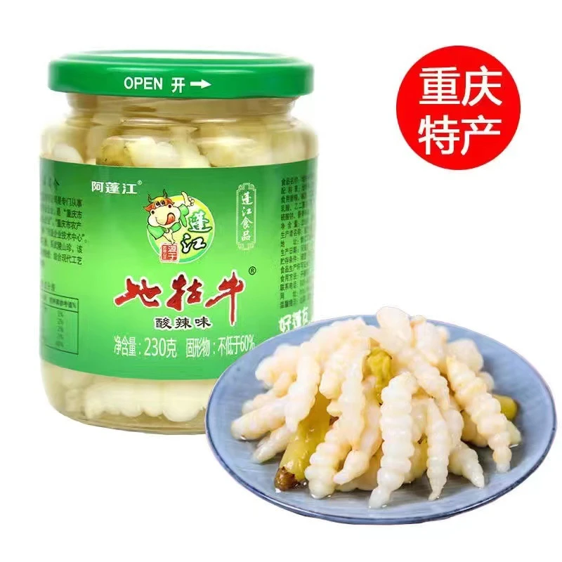 蓬江地牯牛泡菜230g小单瓶特产宝塔玉泡菜酸辣味清脆下饭菜罐装