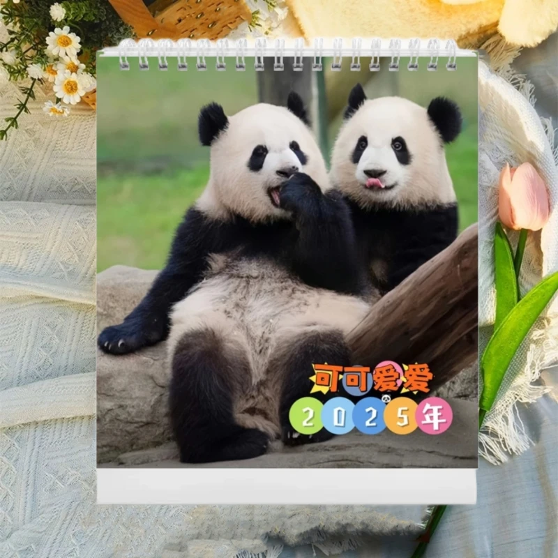 大熊猫渝可渝爱台历2025年新款台历 渝可渝爱周边立体桌面摆件