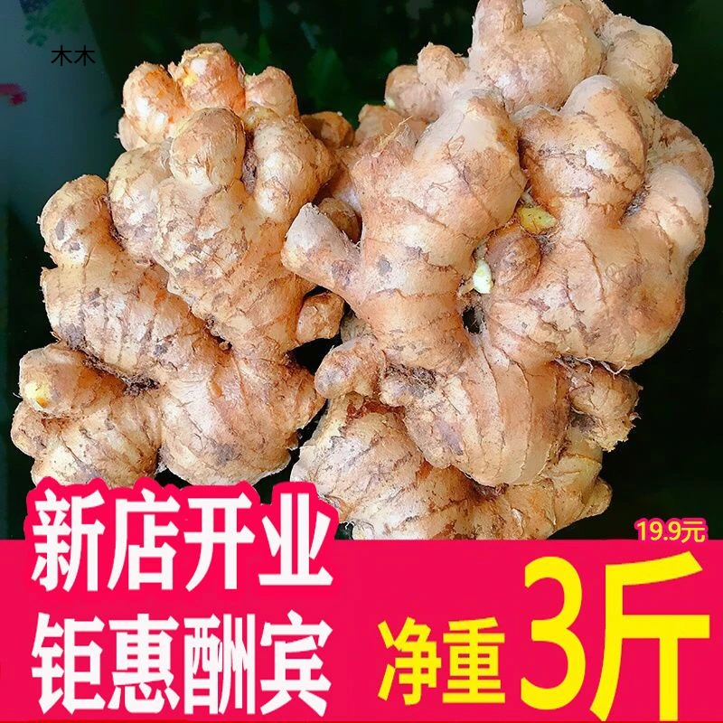 【坏果包赔】云南罗平小黄姜生姜仔姜老姜嫩姜1斤9斤现挖带泥发货