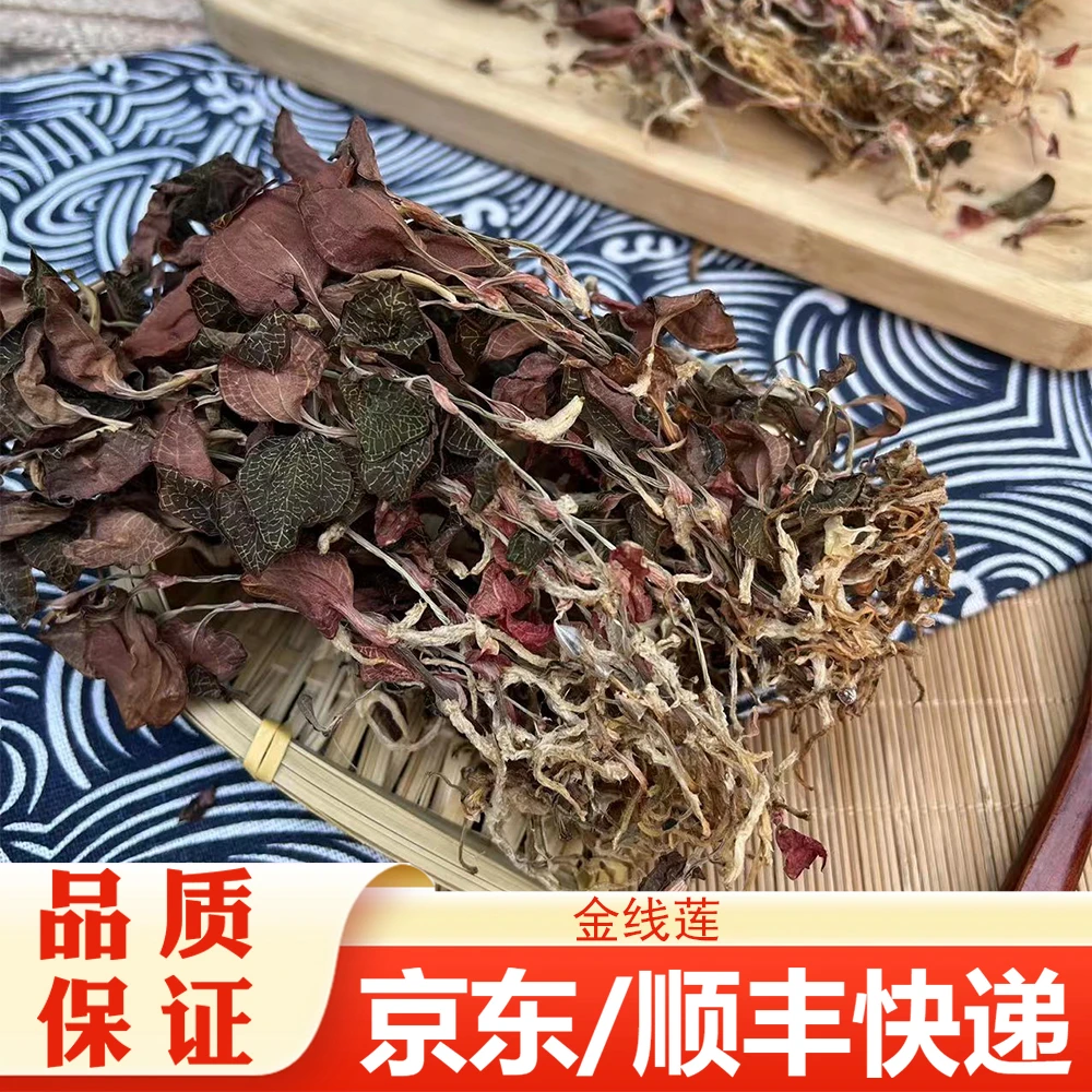 【精选】福建红霞金线连干货 丝线分明 整株细叶 甘草煲汤煲水