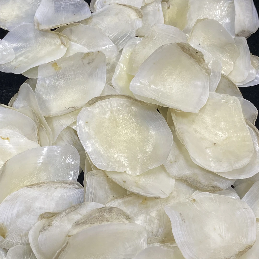 鱼胶花胶深海赤嘴鱼鳞片大片 日常煲汤滋补1-500g