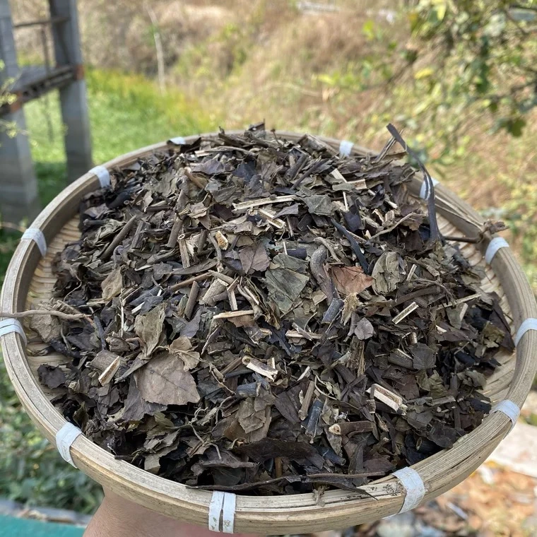 【消岩大王】云南高山农家现收下山消炎大王可配三七