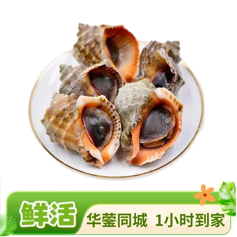 海螺 500g/份【同城闪送,1小时到家】
