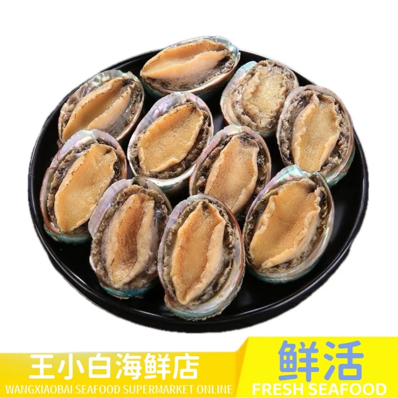 20头鲍鱼10个装【同城闪送，1小时到家】