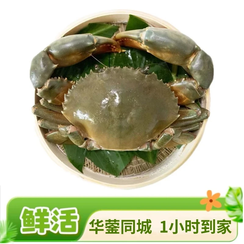 青蟹1只（4-6两）【同城闪送，1小时到家】