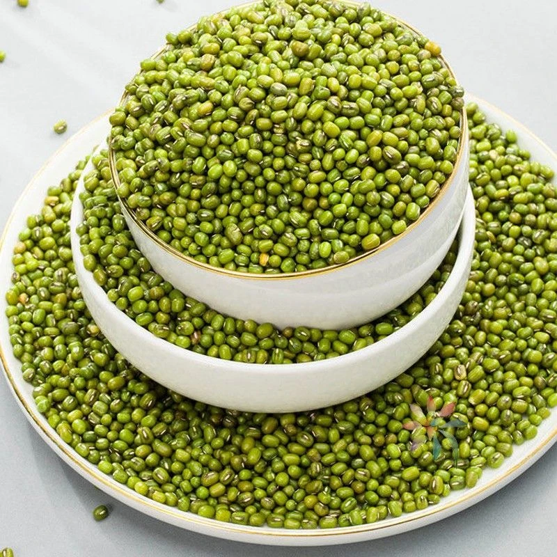 农家新绿豆新鲜杂粮绿豆汤煮粥消暑绿豆糕五谷杂粮