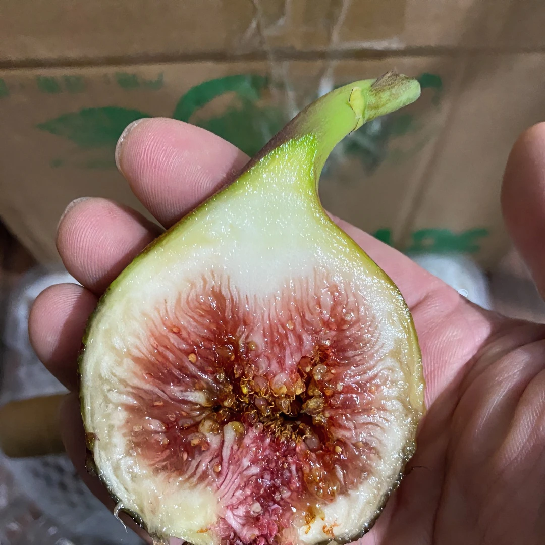 云南高山紫皮无花果（糖包子）产地直邮 顺丰包邮